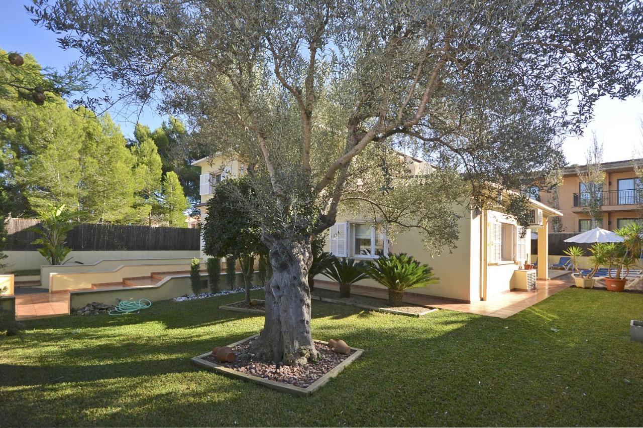 Prestige * Can Picafort (Mallorca)